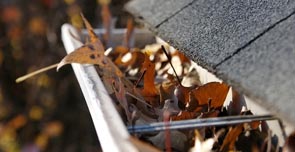 Gutter Installation and Clean Up